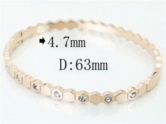 HY Wholesale Stainless Steel 316L Fashion Bangle-HY80B1219HJE