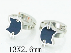 HY Wholesale 316L Stainless Steel Fashion Jewelry Earrings-HY60E0564JV