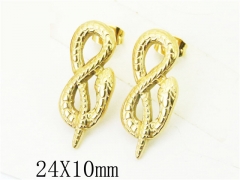 HY Wholesale 316L Stainless Steel Fashion Jewelry Earrings-HY21E0126HIA