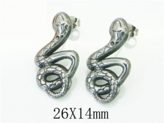 HY Wholesale 316L Stainless Steel Fashion Jewelry Earrings-HY21E0129HHE