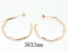 HY Wholesale 316L Stainless Steel Fashion Jewelry Earrings-HY06E1686ML