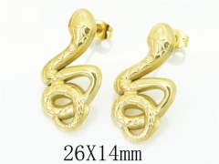 HY Wholesale 316L Stainless Steel Fashion Jewelry Earrings-HY21E0130HIW