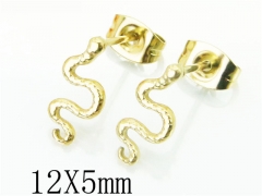 HY Wholesale 316L Stainless Steel Fashion Jewelry Earrings-HY21E0124HIW