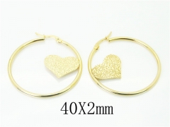 HY Wholesale 316L Stainless Steel Fashion Jewelry Earrings-HY58E1639LQ