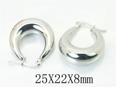 HY Wholesale 316L Stainless Steel Fashion Jewelry Earrings-HY58E1649OW