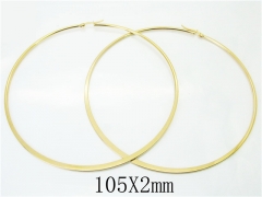 HY Wholesale 316L Stainless Steel Fashion Jewelry Earrings-HY58E1676KL