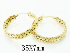 HY Wholesale 316L Stainless Steel Fashion Jewelry Earrings-HY58E1660NL