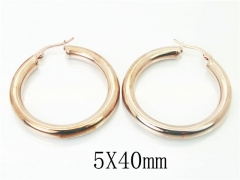 HY Wholesale 316L Stainless Steel Fashion Jewelry Earrings-HY58E1646MW