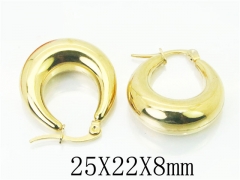 HY Wholesale 316L Stainless Steel Fashion Jewelry Earrings-HY58E1650PA