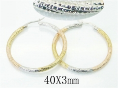 HY Wholesale 316L Stainless Steel Fashion Jewelry Earrings-HY58E1643LW