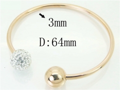 HY Wholesale Stainless Steel 316L Fashion Bangle-HY52B0003HKS