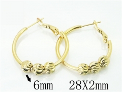 HY Wholesale 316L Stainless Steel Fashion Jewelry Earrings-HY58E1642MX