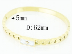 HY Wholesale Stainless Steel 316L Fashion Bangle-HY32B0348HKX