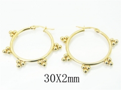 HY Wholesale 316L Stainless Steel Fashion Jewelry Earrings-HY58E1631KS
