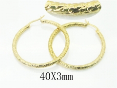 HY Wholesale 316L Stainless Steel Fashion Jewelry Earrings-HY58E1645JL