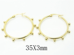HY Wholesale 316L Stainless Steel Fashion Jewelry Earrings-HY58E1630JOR