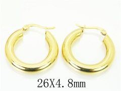 HY Wholesale 316L Stainless Steel Popular Jewelry Earrings-HY06E1696OU