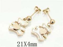 HY Wholesale 316L Stainless Steel Popular Jewelry Earrings-HY47E0148OL