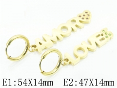 HY Wholesale 316L Stainless Steel Popular Jewelry Earrings-HY21E0136HNR