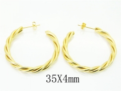 HY Wholesale 316L Stainless Steel Popular Jewelry Earrings-HY06E1702PV