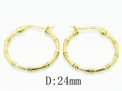 HY Wholesale 316L Stainless Steel Popular Jewelry Earrings-HY06E1718NX