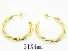 HY Wholesale 316L Stainless Steel Popular Jewelry Earrings-HY06E1704PX