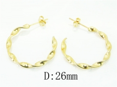 HY Wholesale 316L Stainless Steel Popular Jewelry Earrings-HY06E1708LA