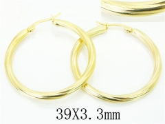 HY Wholesale 316L Stainless Steel Popular Jewelry Earrings-HY06E1698PR