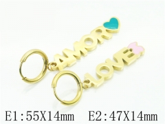 HY Wholesale 316L Stainless Steel Popular Jewelry Earrings-HY21E0134HNR