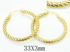 HY Wholesale 316L Stainless Steel Popular Jewelry Earrings-HY06E1700PR