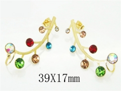 HY Wholesale 316L Stainless Steel Popular Jewelry Earrings-HY67E0434MW