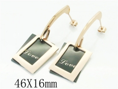 HY Wholesale 316L Stainless Steel Popular Jewelry Earrings-HY47E0142PD