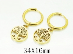 HY Wholesale Earrings 316L Stainless Steel Fashion Jewelry Earrings-HY80E0551MS