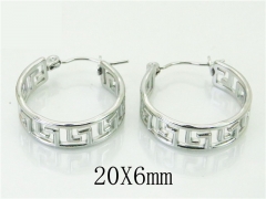 HY Wholesale Earrings 316L Stainless Steel Fashion Jewelry Earrings-HY70E0266KQ