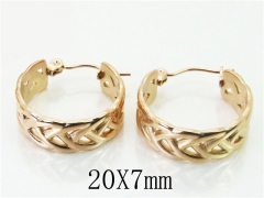 HY Wholesale Earrings 316L Stainless Steel Fashion Jewelry Earrings-HY70E0273LG