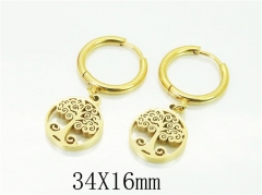 HY Wholesale Earrings 316L Stainless Steel Fashion Jewelry Earrings-HY80E0550MF