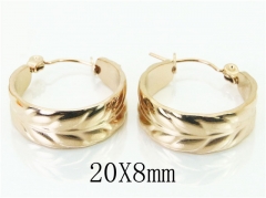 HY Wholesale Earrings 316L Stainless Steel Fashion Jewelry Earrings-HY70E0317LW