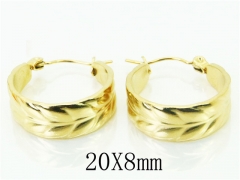 HY Wholesale Earrings 316L Stainless Steel Fashion Jewelry Earrings-HY70E0316LA