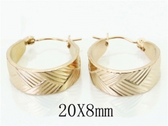 HY Wholesale Earrings 316L Stainless Steel Fashion Jewelry Earrings-HY70E0322LS