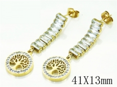 HY Wholesale Earrings 316L Stainless Steel Popular Jewelry Earrings-HY32E0158PB