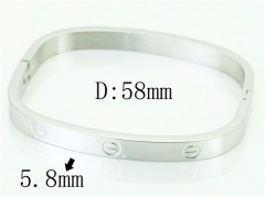 HY Wholesale Bangles Stainless Steel 316L Fashion Bangle-HY56B0044HIW