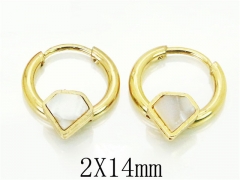 HY Wholesale 316L Stainless Steel Popular Jewelry Earrings-HY60E0669JJW