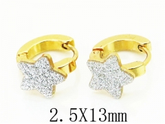 HY Wholesale 316L Stainless Steel Popular Jewelry Earrings-HY60E0690JZ