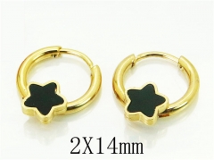 HY Wholesale 316L Stainless Steel Popular Jewelry Earrings-HY60E0650JJC