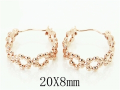 HY Wholesale 316L Stainless Steel Popular Jewelry Earrings-HY70E0466LU