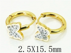 HY Wholesale 316L Stainless Steel Popular Jewelry Earrings-HY60E0675JLC