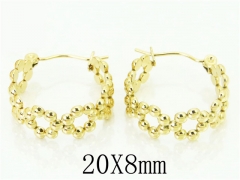 HY Wholesale 316L Stainless Steel Popular Jewelry Earrings-HY70E0465LY