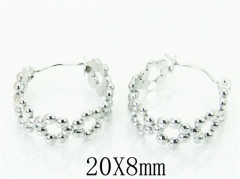 HY Wholesale 316L Stainless Steel Popular Jewelry Earrings-HY70E0464KE