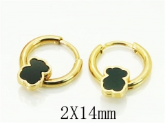HY Wholesale 316L Stainless Steel Popular Jewelry Earrings-HY60E0649JJZ
