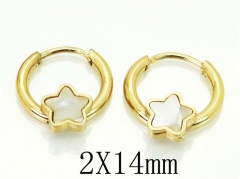 HY Wholesale 316L Stainless Steel Popular Jewelry Earrings-HY60E0661JJY